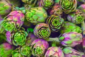 artichokes